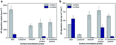 Graphical abstract: Effects of protein species and surface physicochemical features on the deposition of nanoparticles onto protein-coated planar surfaces