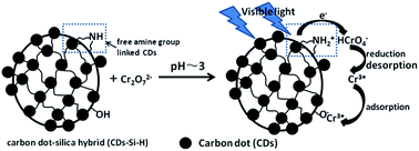 Graphical abstract: The effective removal of Cr(vi) ions by carbon dot–silica hybrids driven by visible light