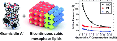 Graphical abstract: Exploring the structural relationship between encapsulated antimicrobial peptides and the bilayer membrane mimetic lipidic cubic phase: studies with gramicidin A′