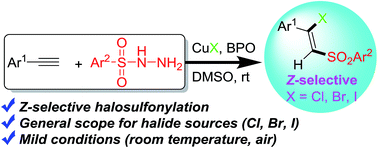 Graphical abstract: Stereoselective Z-halosulfonylation of terminal alkynes using sulfonohydrazides and CuX (X = Cl, Br, I)