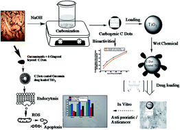 Graphical abstract: Encapsulation of curcumin over carbon dot coated TiO2 nanoparticles for pH sensitive enhancement of anticancer and anti-psoriatic potential