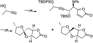 Graphical abstract: Synthesis of (−) cephalosporolide E and (+) cephalosporolide F utilizing the vinylogous Mukaiyama type reaction with an α-chloro sulfide