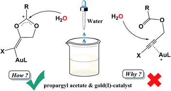 Graphical abstract: Theoretical insight into the Au(i)-catalyzed hydration of halo-substituted propargyl acetate: dynamic water-assisted mechanism