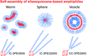 Graphical abstract: Synthesis of silsesquioxane-based element-block amphiphiles and their self-assembly in water