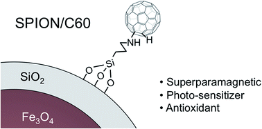 Graphical abstract: Synthesis and characterization of multifunctional superparamagnetic iron oxide nanoparticles (SPION)/C60 nanocomposites assembled by fullerene–amine click chemistry