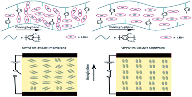 Graphical abstract: Electrorheological effect induced quaternized poly(2,6-dimethyl phenylene oxide)-layered double hydroxide composite membranes for anion exchange membrane fuel cells