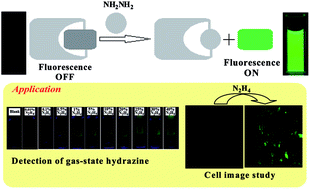 Graphical abstract: A highly sensitive fluorescent probe for detection of hydrazine in gas and solution phases based on the Gabriel mechanism and its bioimaging