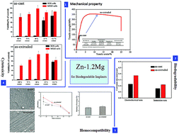 Graphical abstract: Mechanical properties, in vitro degradation behavior, hemocompatibility and cytotoxicity evaluation of Zn–1.2Mg alloy for biodegradable implants