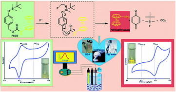 Graphical abstract: A switchable electrochemical redox ratiometric substrate based on ferrocene for highly selective and sensitive fluoride detection