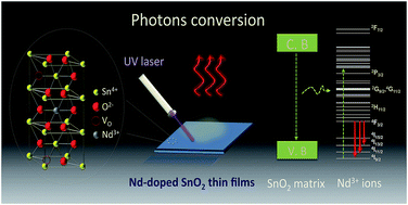Graphical abstract: Insight into photon conversion of Nd3+ doped low temperature grown p and n type tin oxide thin films
