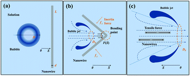 Graphical abstract: Spotlight on ultrasonic fracture behaviour of nanowires: their size-dependent effect and prospect for controllable functional modification