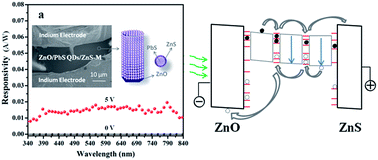Graphical abstract: An interfacial defect-controlled ZnO/PbS QDs/ZnS heterostructure based broadband photodetector