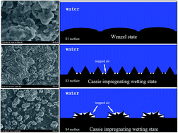 Graphical abstract: Controllable wetting state high adhesion hydrophobic surface