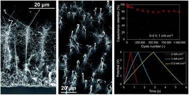 Graphical abstract: Silicon nanowires and nanotrees: elaboration and optimization of new 3D architectures for high performance on-chip supercapacitors