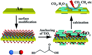 Graphical abstract: TiO2 nanosheet-anchoring Au nanoplates: high-energy facet and wide spectra surface plasmon-promoting photocatalytic efficiency and selectivity for CO2 reduction
