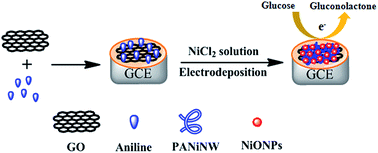 Graphical abstract: One-step electrochemical fabrication of a nickel oxide nanoparticle/polyaniline nanowire/graphene oxide hybrid on a glassy carbon electrode for use as a non-enzymatic glucose biosensor