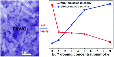 Graphical abstract: Enhanced photocatalytic performance and morphology evolvement of PbWO4 dendritic nanostructures through Eu3+ doping