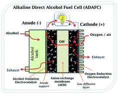 Graphical abstract: Nanostructured platinum-free electrocatalysts in alkaline direct alcohol fuel cells: catalyst design, principles and applications