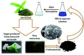 Graphical abstract: Synthesis of potential biosorbent from used stevia leaves and its application for malachite green removal from aqueous solution: kinetics, isotherm and regeneration studies