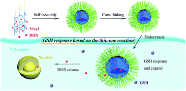 Graphical abstract: GSH-responsive polymeric micelles based on the thio–ene reaction for controlled drug release