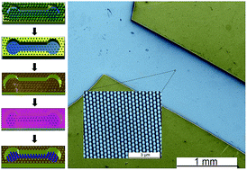 Graphical abstract: Fabrication of well-ordered silicon nanopillars embedded in a microchannel via metal-assisted chemical etching: a route towards an opto-mechanical biosensor