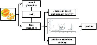 Graphical abstract: Phenolic profiles and chemical- or cell-based antioxidant activities of four star fruit (Averrhoa carambola) cultivars
