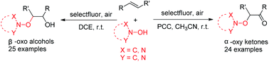 Graphical abstract: Selectfluor-mediated highly selective radical dioxygenation of alkenes