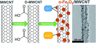 Graphical abstract: Hematite decorated multi-walled carbon nanotubes (α-Fe2O3/MWCNTs) as sorbents for Cu(ii) and Cr(vi): comparison of hybrid sorbent performance to its nanomaterial building blocks