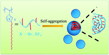Graphical abstract: Aggregation behavior of N-alkyl imidazolium-based poly(ionic liquid)s in an organic solvent