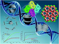 Graphical abstract: Nontoxic and renewable metal–organic framework based on α-cyclodextrin with efficient drug delivery