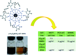 Graphical abstract: Functionalization of γ-Fe2O3@SiO2 nanoparticles using the antiviral drug zidovudine: synthesis, characterization, in vitro cytotoxicity and DNA interaction studies