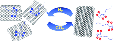 Graphical abstract: Smart graphene dispersion stabilized by a CO2-removable polymer