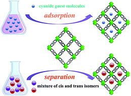Graphical abstract: A porous magnesium metal–organic framework showing selective adsorption and separation of nitrile guest molecules