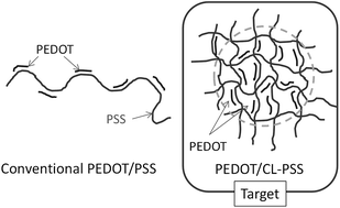 Graphical abstract: PEDOT/PSS nanoparticles: synthesis and properties