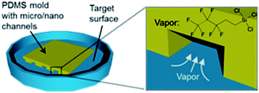 Graphical abstract: Vapor-based micro/nano-partitioning of fluoro-functional group immobilization for long-term stable cell patterning