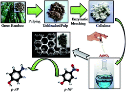 Graphical abstract: Synthesis of Ag–Ag2S Janus nanoparticles supported on an environmentally benign cellulose template and their catalytic applications