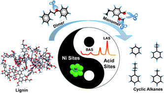 Graphical abstract: Tuning Ni nanoparticles and the acid sites of silica-alumina for liquefaction and hydrodeoxygenation of lignin to cyclic alkanes