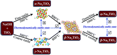 Graphical abstract: Structures, formation mechanisms, and ion-exchange properties of α-, β-, and γ-Na2TiO3