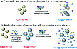 Graphical abstract: Pre-coating with protein fractions inhibits nano-carrier aggregation in human blood plasma