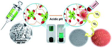 Graphical abstract: A nanoporous photosensitizing hydrogel based on chitosan cross-linked by zinc phthalocyanine: an injectable and pH-stimuli responsive system for effective cancer therapy