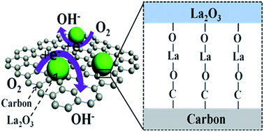 Graphical abstract: Toward synergy of carbon and La2O3 in their hybrid as an efficient catalyst for the oxygen reduction reaction