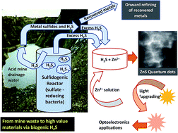 Graphical abstract: Biosynthesis of zinc sulfide quantum dots using waste off-gas from a metal bioremediation process