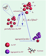 Graphical abstract: The effect of temperature on the aggregation kinetics of partially bare gold nanoparticles