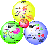 Graphical abstract: Design, synthesis and biological evaluation of novel 2-phenyl-1-benzopyran-4-one derivatives as potential poly-functional anti-Alzheimer's agents