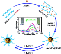 Graphical abstract: Double-channel emission from gold nanoparticles functionalized with a thermo-responsive copolymer ligand: preparation, optical properties and control of catalytic activity