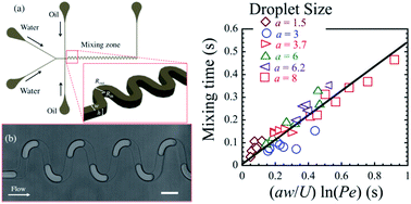Graphical abstract: Scaling of mixing time for droplets of different sizes traveling through a serpentine microchannel