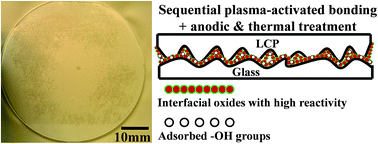 Graphical abstract: Direct bonding of liquid crystal polymer to glass