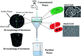 Graphical abstract: Improving antifouling ability by site-specific silver decoration on polyethylene ionomer membranes for water remediation: assessed using 3D micro computed tomography, water flux and antibacterial studies