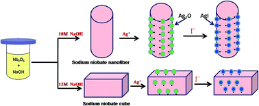 Graphical abstract: Adsorption of radioactive iodine on surfactant-modified sodium niobate
