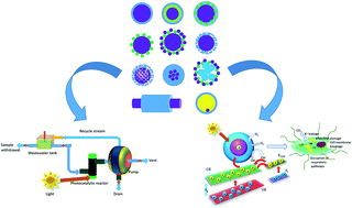 Graphical abstract: Recent advances in the synthesis and application of photocatalytic metal–metal oxide core–shell nanoparticles for environmental remediation and their recycling process